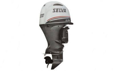 SEI WHALE 200 E.F.I.