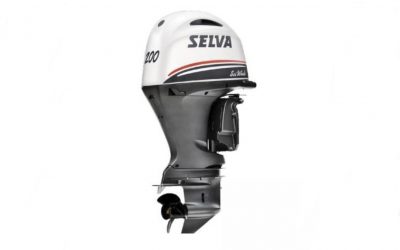 SEI WHALE 200XSR E.F.I