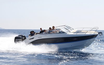 Quicksilver 805 Cruiser