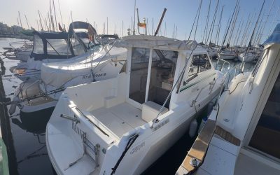 Garin 800