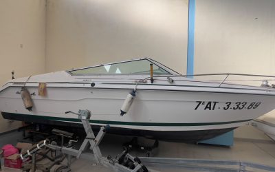 SEA RAY 220