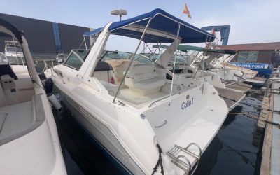 SEA RAY 310
