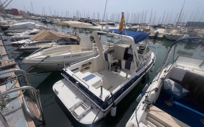 Starfisher 540